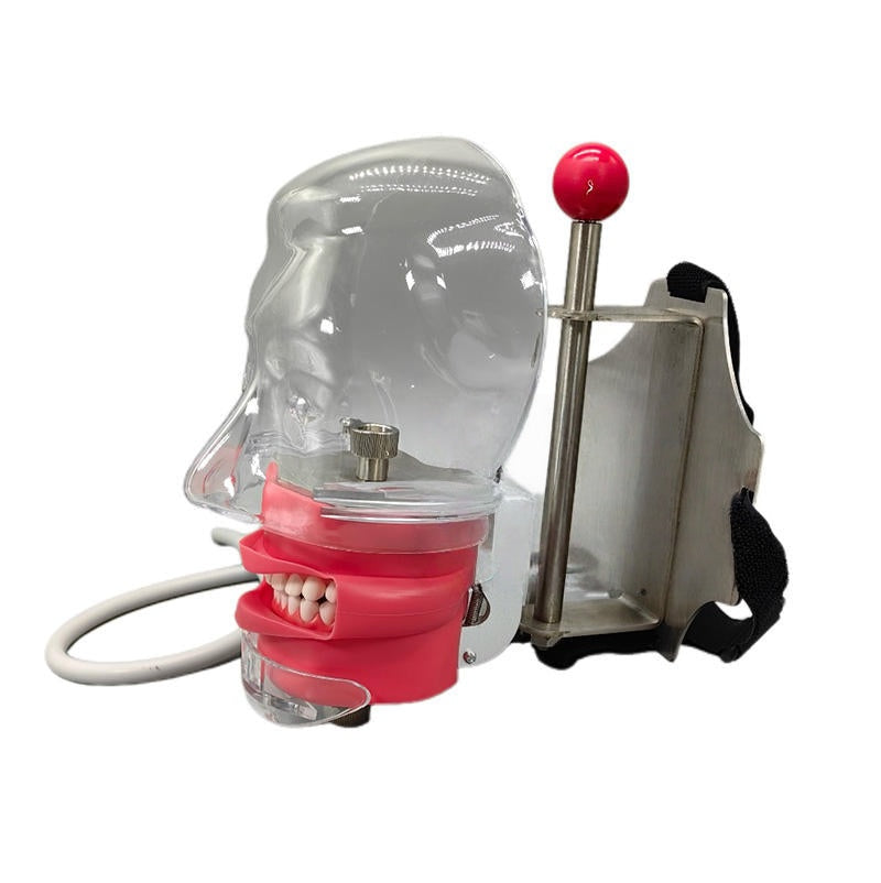 High‑Fidelity Dental Bionic Head & Ligature Training Models – Romonga