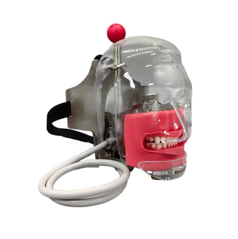 High‑Fidelity Dental Bionic Head & Ligature Training Models – Romonga